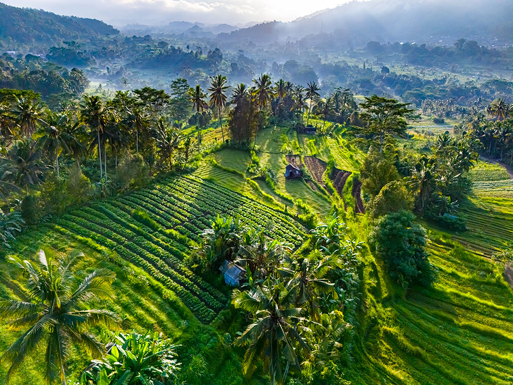 viaggiare in indonesia