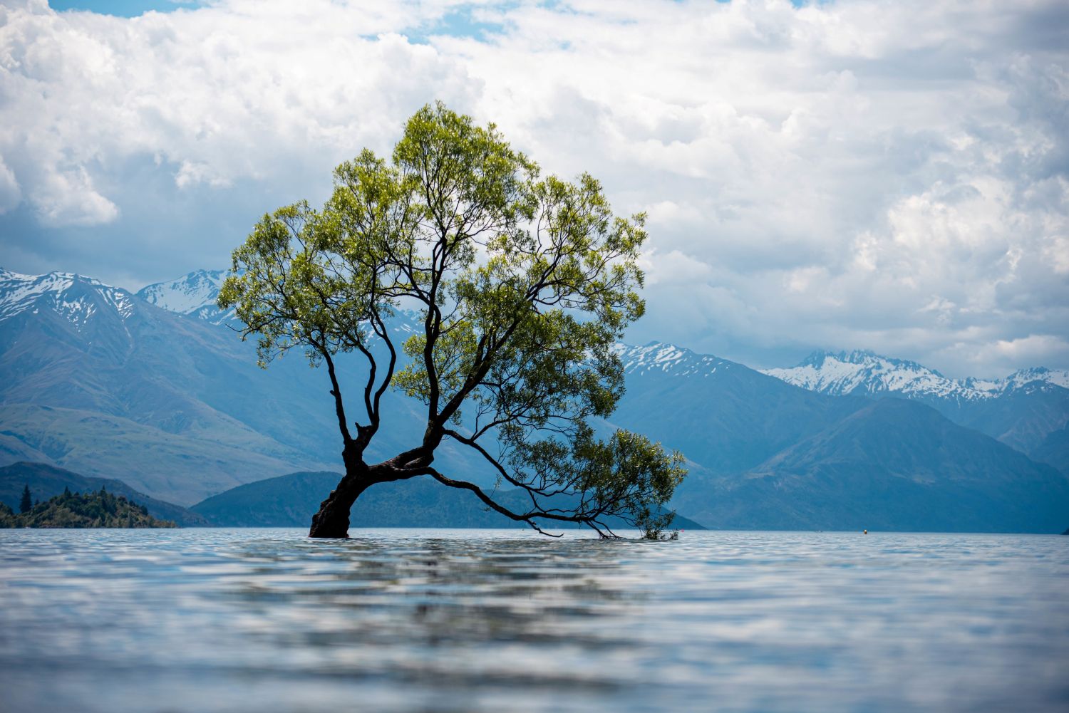 lago wanaka